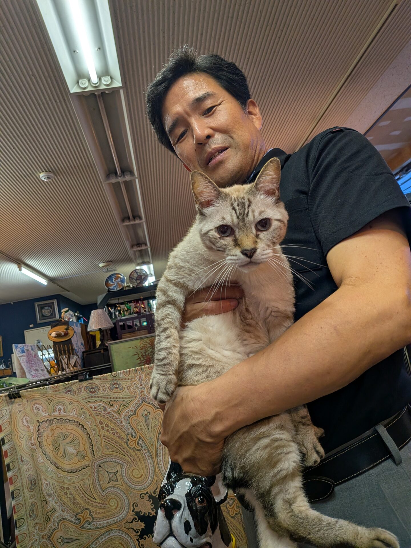 看板猫ペーターを抱く藤野真二
