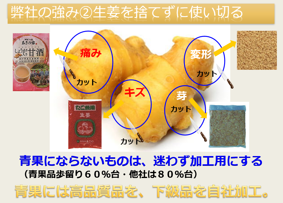 生姜の形や傷に合わせて、加工品の原料として生かす株式会社あさのの取り組み